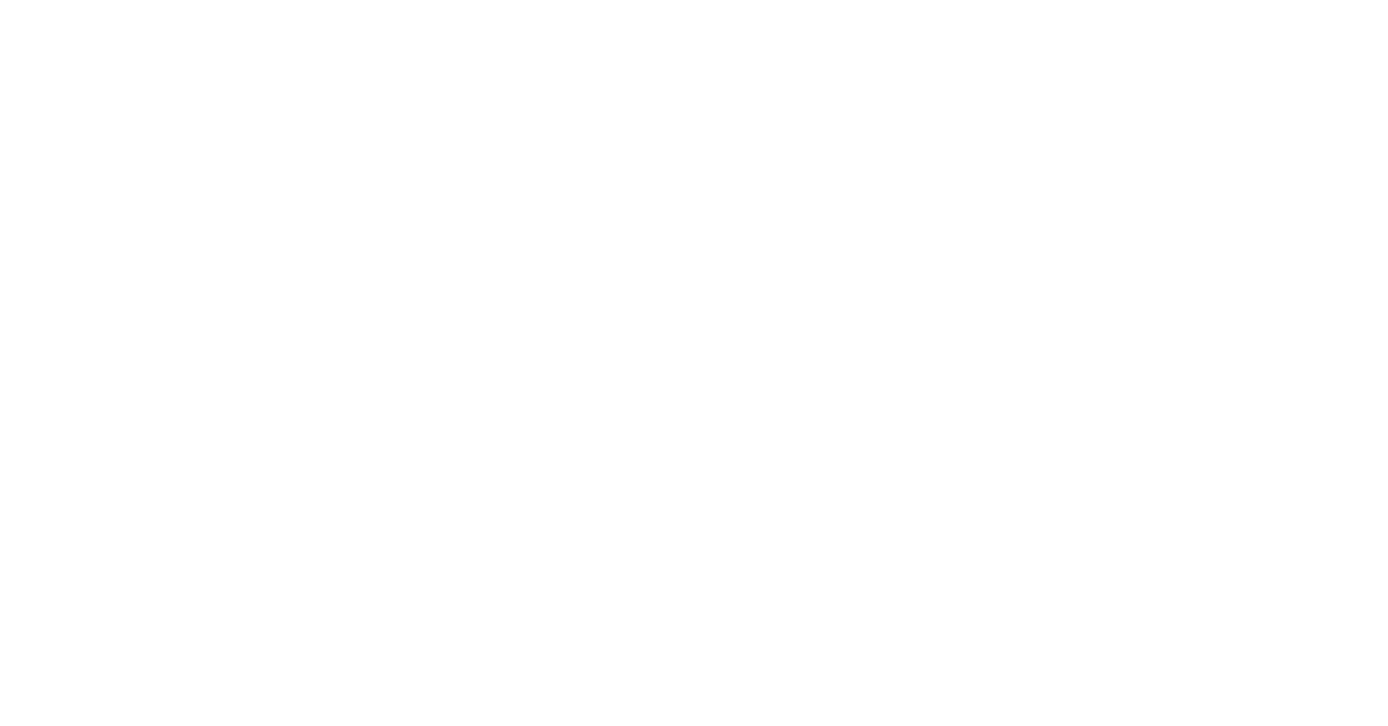 First slide