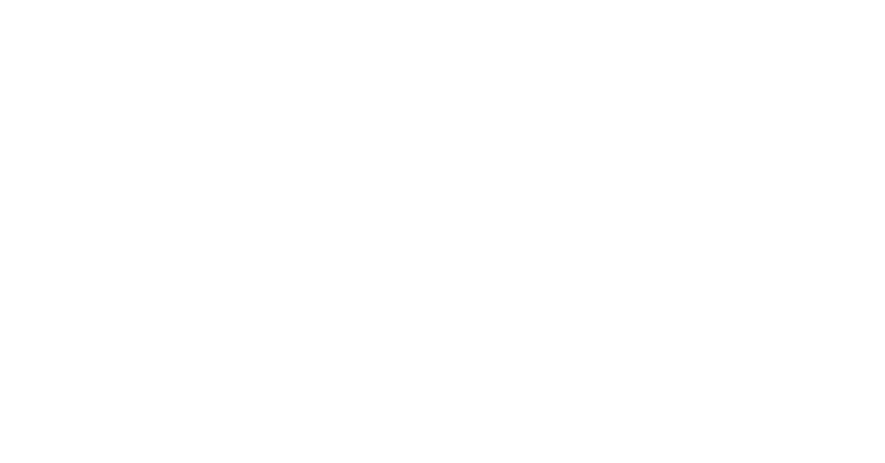 First slide